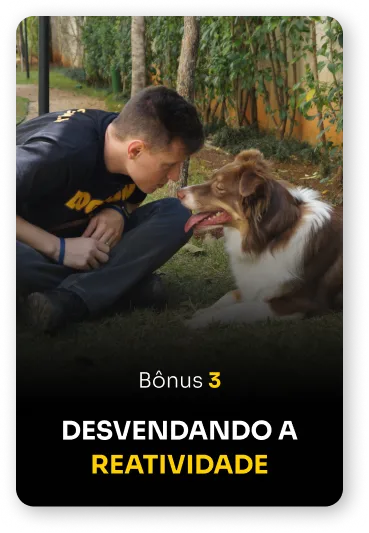 Thumb Bônus 3 